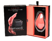 Vibrater-panties-i-Companion-Vibe-from-Clandestine-Devices-box-open