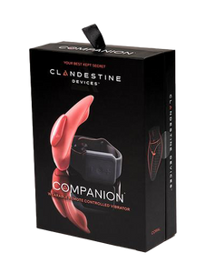 Vibrater-panties-i-Companion-Vibe-from-Clandestine-Devices-Box