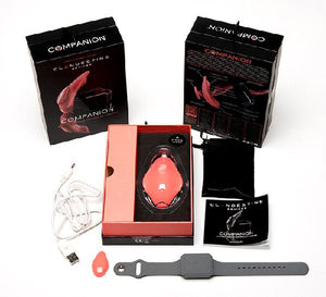 Vibrater-panties-i-Companion-Vibe-from-Clandestine-Devices-Kit
